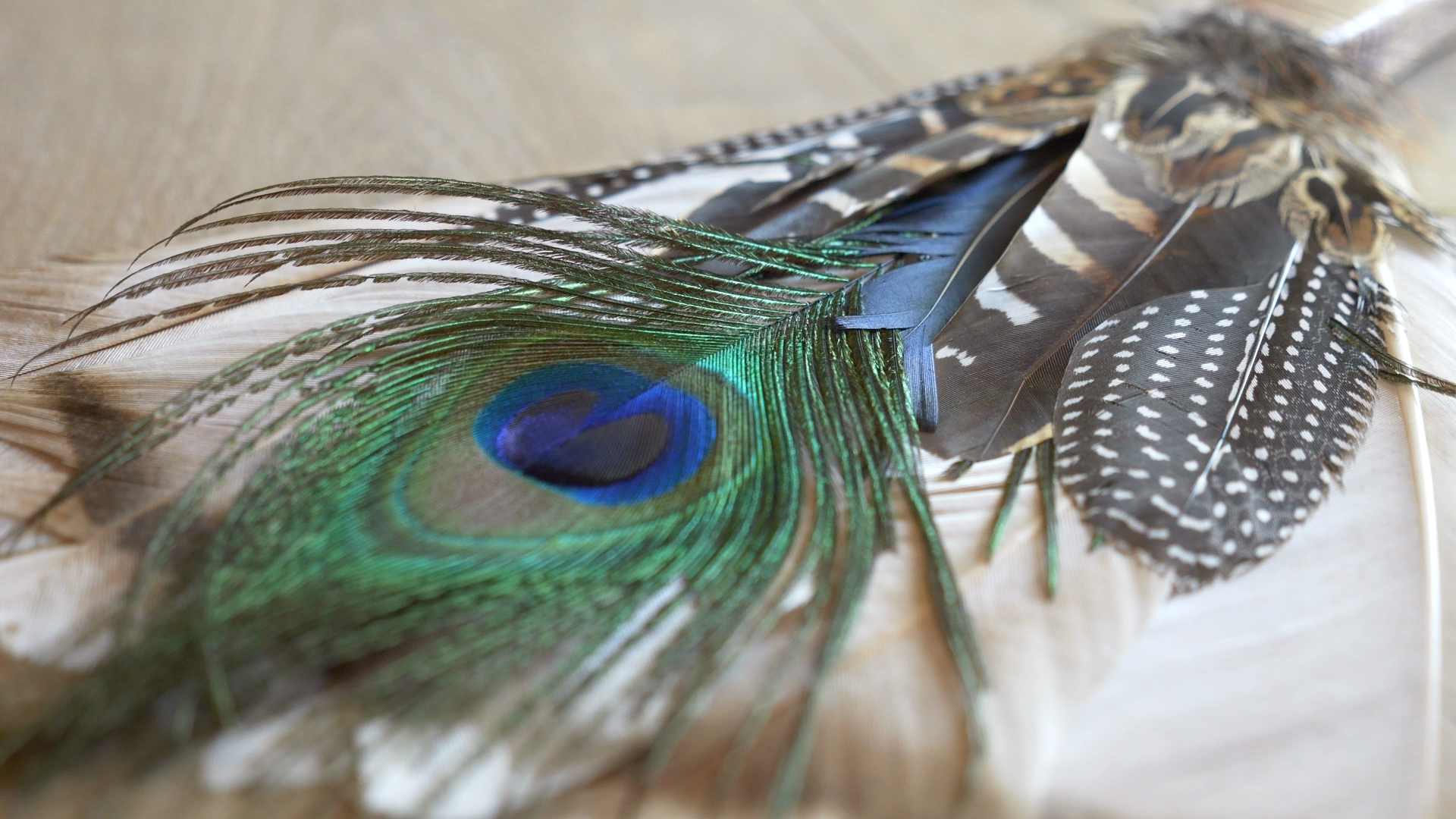 Plume